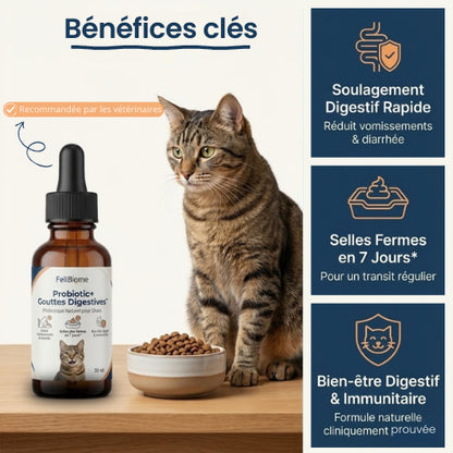 Probiotic+ Gouttes Digestives FéliBiome