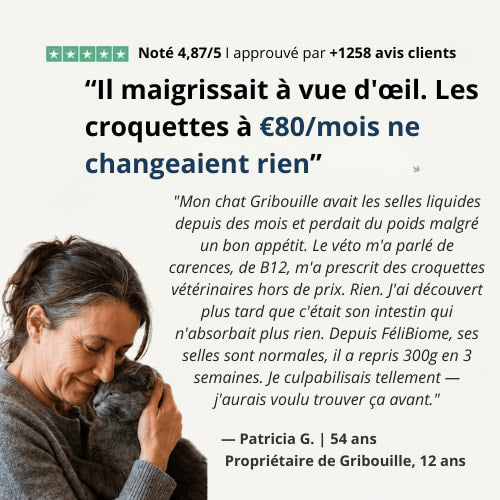 Probiotic+ Gouttes Digestives FéliBiome